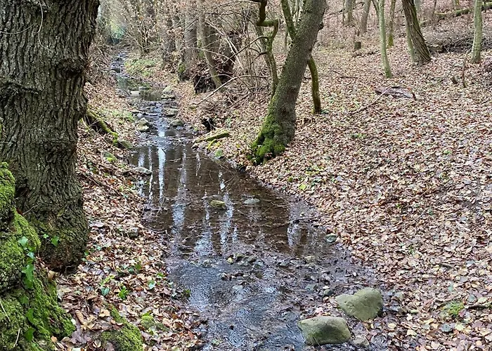 Mesebeli Haz 펜션 *